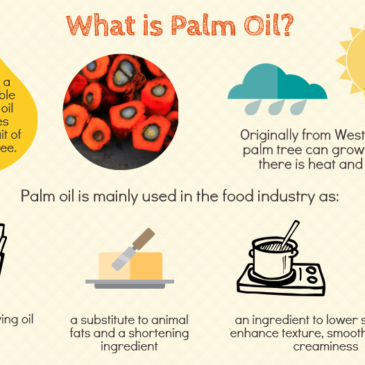 Do you Know all About Palm oil? Infographic
