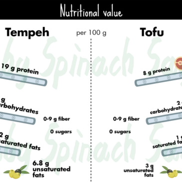 Tofu and Tempeh Comparison