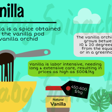 Vanilla vs Vanillin – What’s the Difference?
